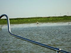 PLIMBARI IN DELTA 2013